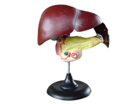SD-093 33216ʮ֬cKģ